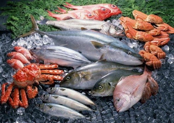 Свежая рыба и морепродукты: польза и влияние на организм человека