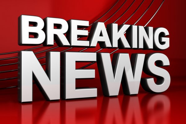 Лидер АдГ назвала завод Mercedes в Венгрии символом бегства из ФРГ