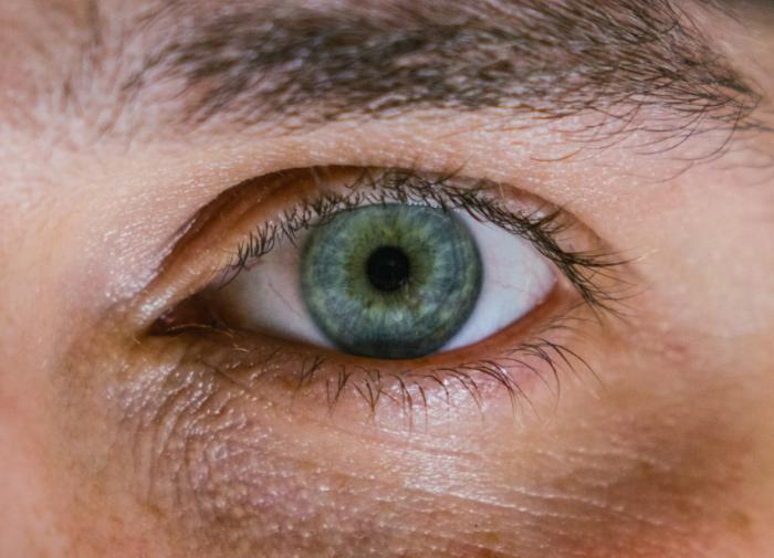 В УрФУ обучили нейросети находить болезни глаз с точностью до 97%